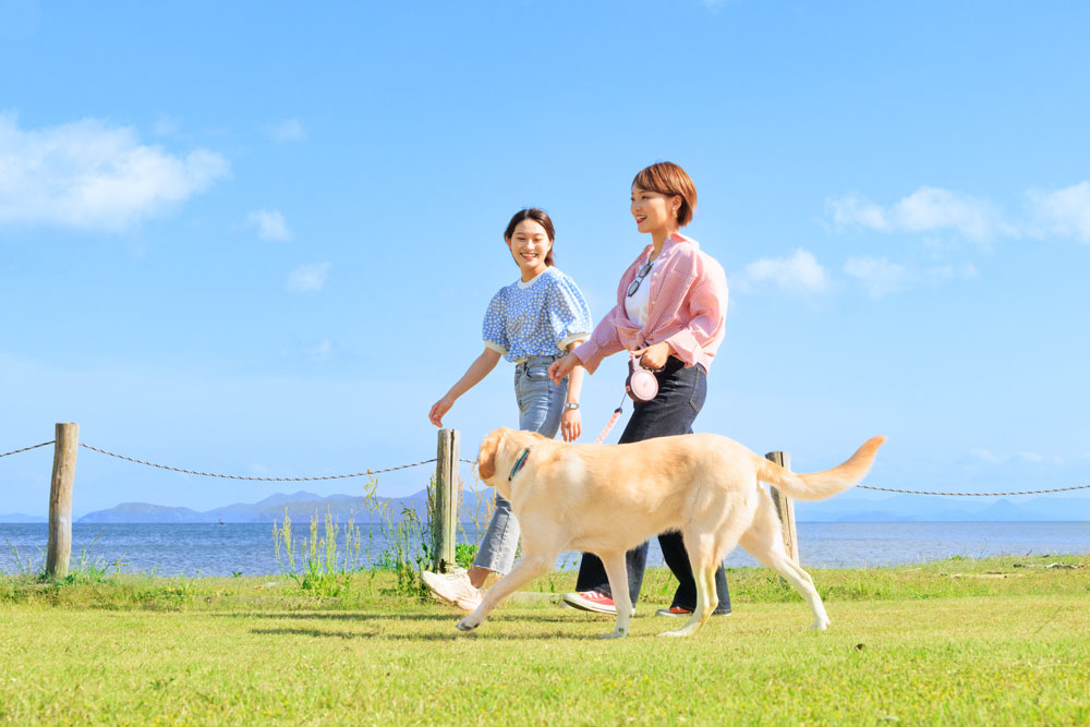 湖畔をゆったり散歩